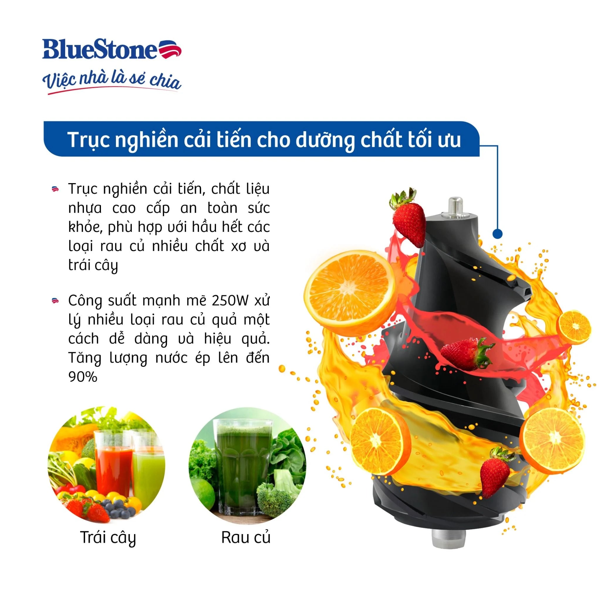 Máy Ép Chậm BlueStone SJB-6568 250W
