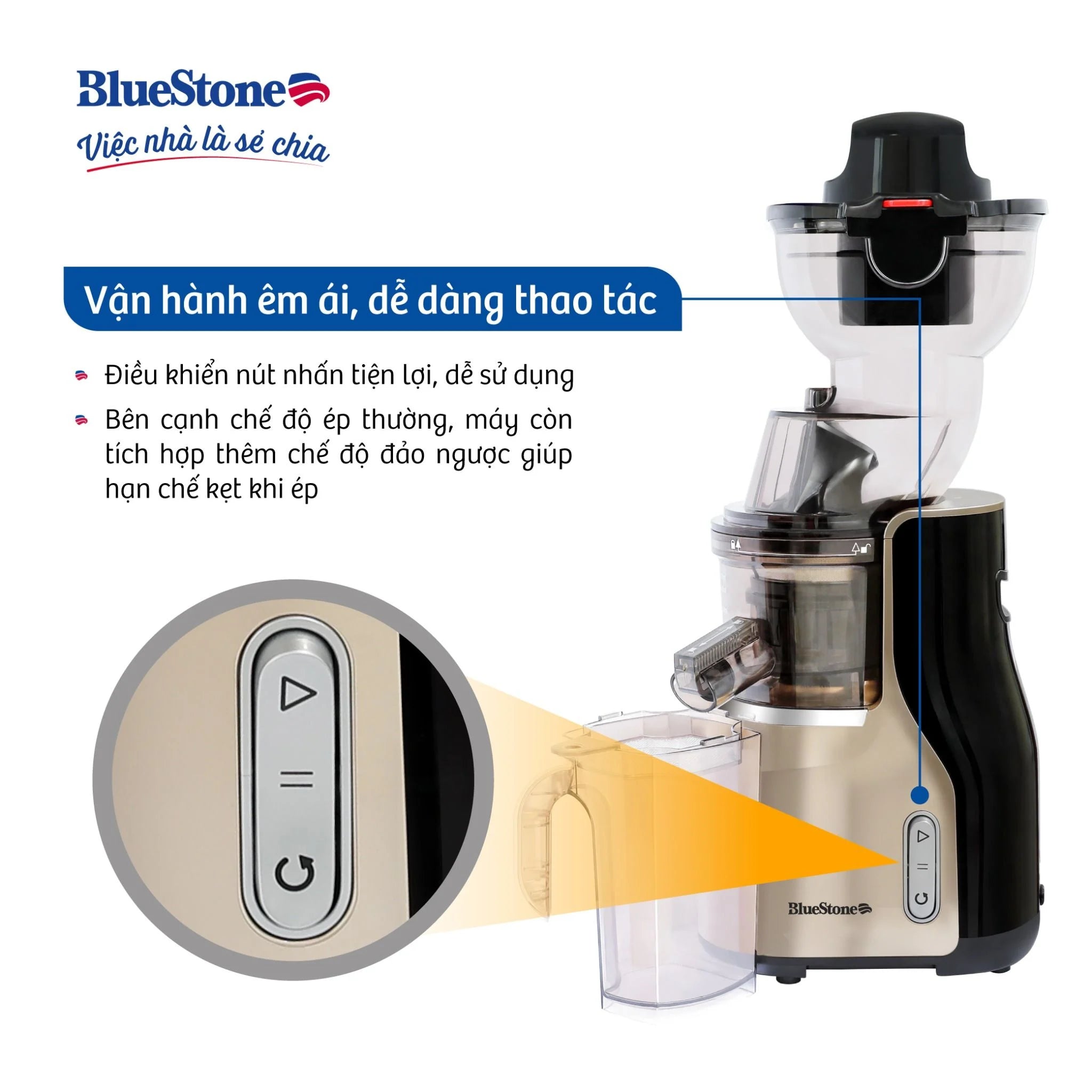 Máy Ép Chậm BlueStone SJB-6568 250W